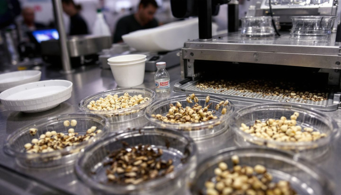 Le futur de l'alimentation insectes et protéines alternatives pour une sécurité alimentaire durable